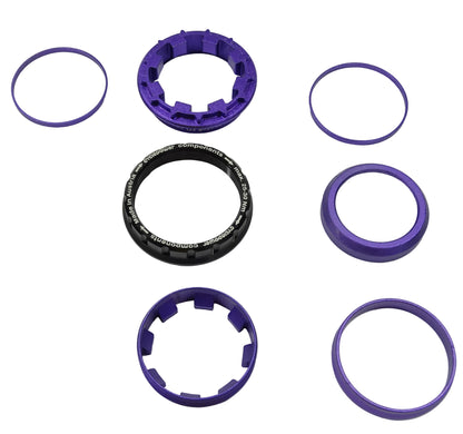 singlespeed-conversion-kit-campagnolo-ed-violet