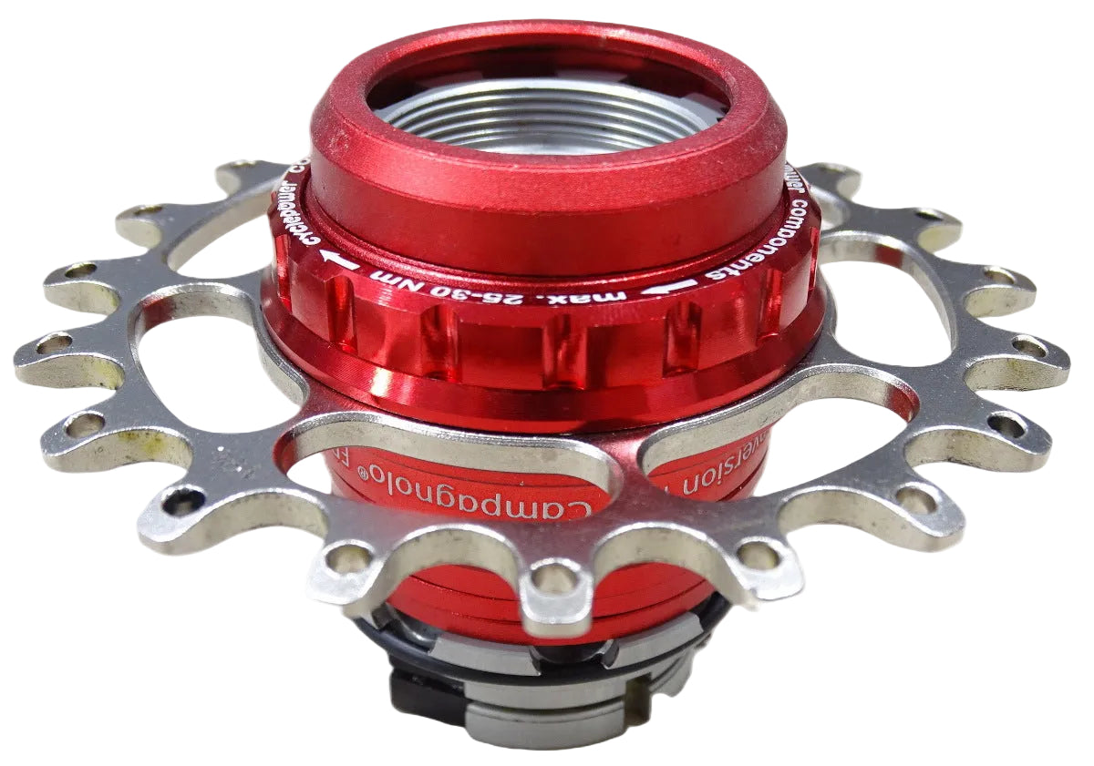 singlespeed-conversion-kit-campagnolo-ED+sprocket-red-frontview