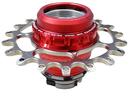 singlespeed-conversion-kit-campagnolo-ED+sprocket-red-frontview