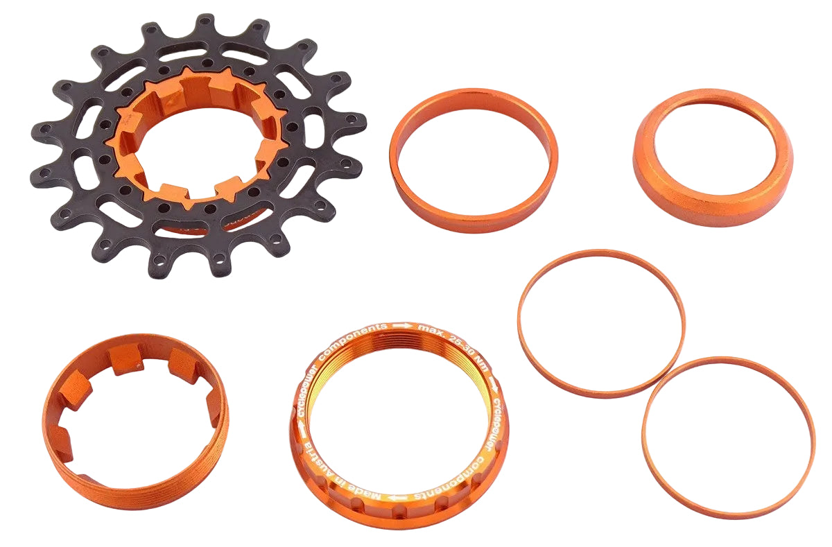 singlespeed-conversion-kit-campagnolo-ED+sprocket_OR